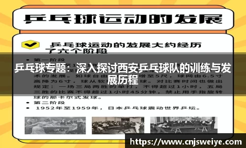 yy易游