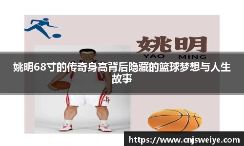 yy易游体育
