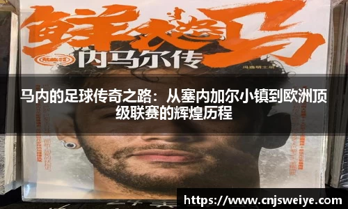 yy体育