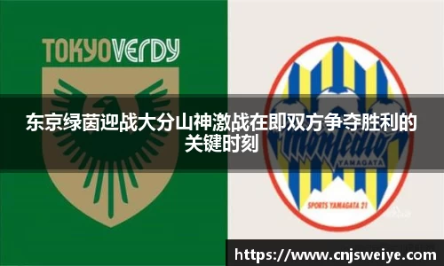 yy易游
